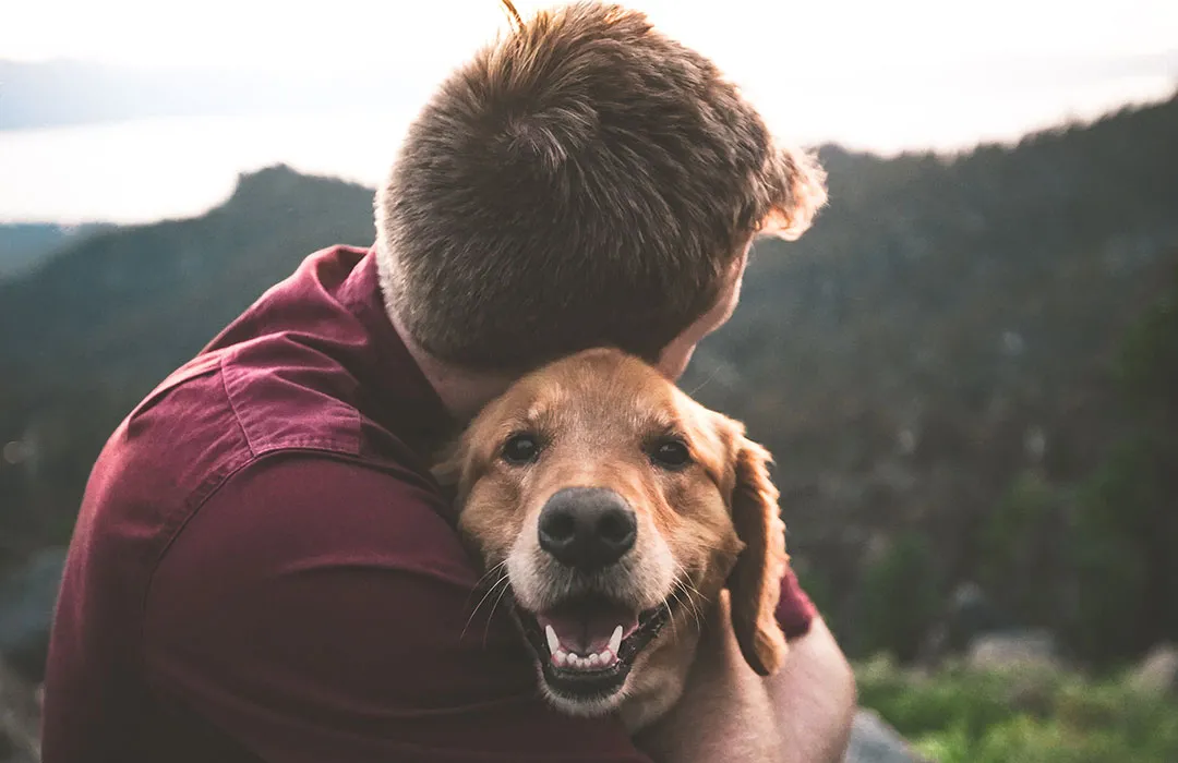 Pet Loss Coach Training Online Building a Meaningful Career in Grief Support